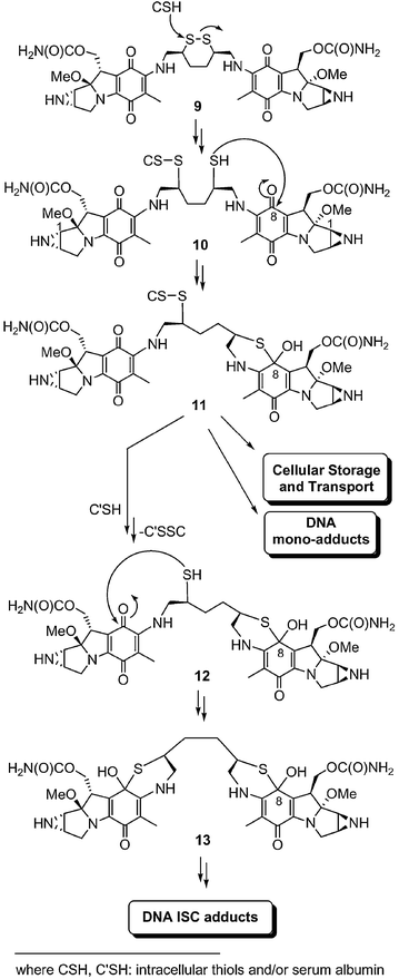 Proposed nucleophile-mediated activation pathway for 9.