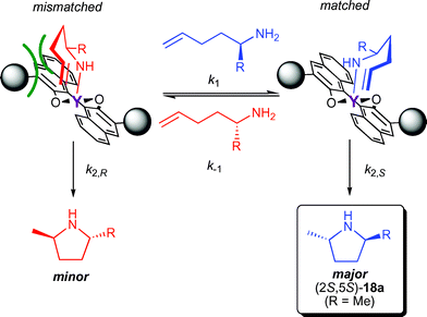 Proposed stereomodel for the kinetic resolution of chiral aminoalkenes with an equatorial approach of the alkene.