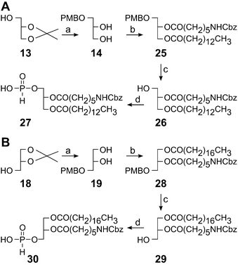 A: synthesis of 1-O-myristoyl-2-O-[6-(N-carbobenzyloxyamino)-hexanoyl]-sn-glyceryl-H-phosphonate (compound 27). Reagents and conditions: (a) PMBCl, DMF, NaH, 1 h; pTSA, MeOH, 2 h; (b) myristic acid, CH2Cl2, DCC, DMAP, 0 °C; 6-Cbz-aminohexanoic acid, CH2Cl2, DCC, DMAP, 30 °C; (c) DDQ, CH2Cl2–H2O (99 : 1), 12 h; (d) PCl3, imidazole, triethylamine, toluene, −5 °C, 2 h. B: synthesis of 3-O-myristoyl-2-O-[6-(N-carbobenzyloxyamino)-hexanoyl]-sn-glyceryl-H-phosphonate (compound 30). Reagents and conditions: (a) PMBCl, DMF, NaH, 1 h; pTSA, MeOH, 2 h; (b) myristic acid, CH2Cl2, DCC, DMAP, 0 °C; 6-Cbz-aminohexanoic acid, CH2Cl2, DCC, DMAP, 30 °C; (c) DDQ, CH2Cl2–H2O (99 : 1), 12 h; (d) PCl3, imidazole, triethylamine, toluene, −5 °C, 2 h.