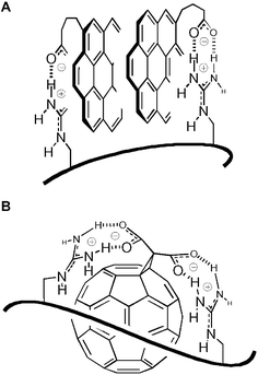 Arene-templated ion pairing exemplified with notional structures of activator–carrier complexes pR·(X)m′·(3)m″
						(A) and pR·(X)m′·(1)m″
						(B); additional possibilities like binding of phosphate–guanidinium pairs on π-surfaces are not depicted.