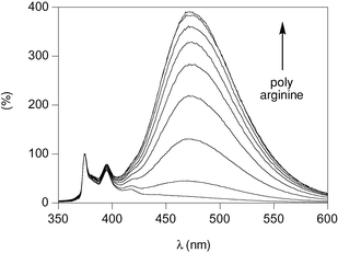 Emission spectra of anion 9
						(12 µM, λex
						= 340 nm) in water in the presence of, with increasing intensity at 470 nm, 0, 50, 100, 150, 200, 250, 300, 350, and 400 nM pR (10 mM NamHnPO4, 107 mM NaCl, pH 7.4, 25 °C); normalized to monomer emission at 375 nm.