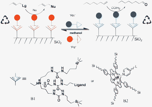 The concept of supramolecular anchoring of catalysts to binding sites immobilised on silica (A) and the binding motifs based on hydrogen bonding (HB) and metal–ligand interactions (ML).