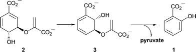 Formation of salicylate from chorismate. In Pseudomonas the two reactions are catalysed by separate enzymes. Irp9 is bifunctional and catalyses both steps.