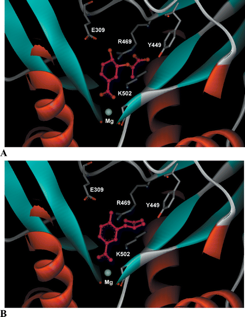 (A) Chorismate (1) and (B) aromatic analogue (R-21) docked into the active site of S. marcescens anthranilate synthase (1I7Q).8