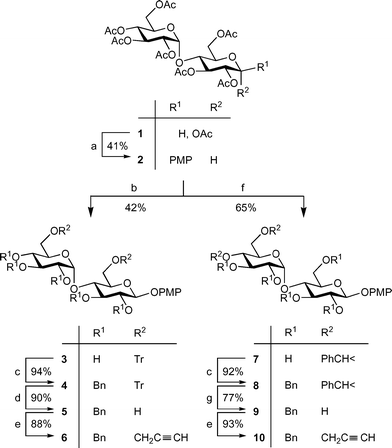 Reagents and conditions: (a) p-methoxyphenol, CH2Cl2, BF3·OEt2; (b) 1. MeOH, NaOMe 2. TrCl, pyridine; (c) BnBr, NaH; (d) TsOH, MeOH–CH2Cl2; (e) CHCCH2Br, NaH, THF–DMPU; (f) 1. NaOMe, MeOH, 2. PhCH(OMe)2, TsOH, DMF; (g) 90% AcOH.