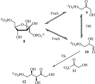 A coupled equilibria reaction: Zimmermann's d-xylulose 5-phosphate synthesis.