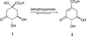 The reaction catalysed by dehydroquinase.