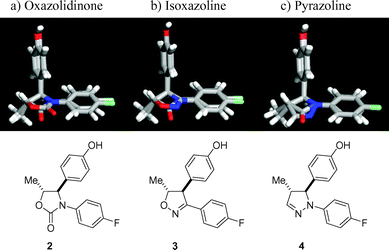 Geometric overlap of oxazolidinone 2
					(a), isoxazoline 3
					(b), and pyrazoline 4
					(c) with the β-lactam core structure of ezetimibe (1).