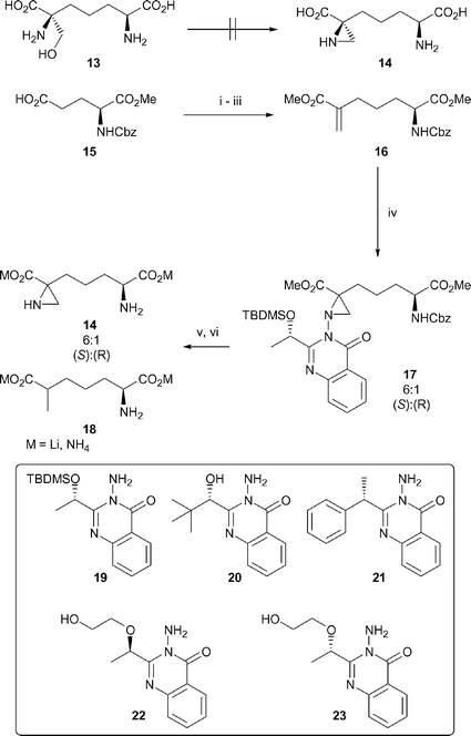 The stereoselective synthesis of aziridine analogues of diaminopimelic ...