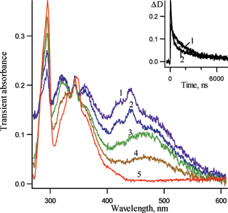 Transient absorption spectra detected over a window of 10 ns following LFP (266 nm, 5 ns) of 3,5-dichloro-2-azido biphenyl 1b in pentane at 161 K (1) 55 ns, (2) 100 ns, (3) 300 ns, (4) 1.3 µs and (5) 6 µs after the laser pulse. Insert: kinetic traces for the absorption decay at (1) 475 nm and (2) 440 nm. The best fit for the trace (1) is exponential with kobs1 = 5.1 ± 0.1 × 105 s−1. The best bi-exponential fit for trace (2) gives kobs1 = 4.8 ± 0.3 × 105 s−1 and kobs2 = 5.3 ± 0.2 × 106 s−1.