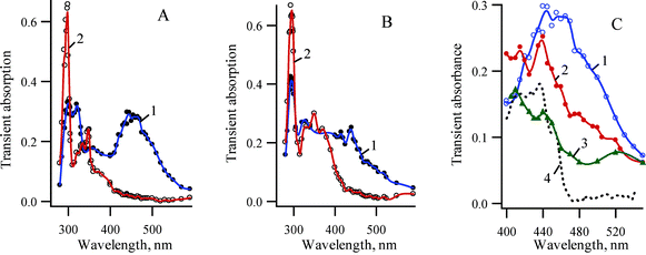 Transient absorption spectra detected following LFP of 2-azido-3,5-dichlorobiphenyl (1b) at ambient temperature, (A) in pentane using YAG laser (266 nm, 5 ns) (1) 20 ns and (2) 400 ns after the laser pulse; (B) in pentane using XeCl excimer laser (308 nm, 17 ns) (1) 35 and (2) 380 ns after the laser pulse; (C) The transient absorption spectra recorded tens of nanosecond after the laser pulse using different excitation sources and in different solvents: (1) in pentane (266 nm excitation), (2) in pentane (308 nm excitation) and (3) in acetonitrile (266 nm excitation). (4) Black line spectrum of singlet nitrene 3Sb detected at 77 K.