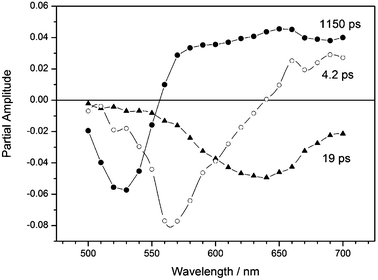 Wavelength dependence of the partial amplitudes of the decay times for PT2 in benzonitrile determined by femtosecond transient absorption. 4.2 ps component (○), 19 ps component (▲) and 1150 ps component (●).