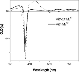 Transient absorption spectra of OTiIVTSPP in methanol with and without MV2+ after excitation at 416 nm.