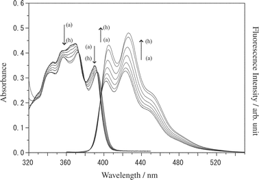 Absorption and fluorescence spectral responses of I (1.0 × 10−4 M) upon an addition of BA in chloroform: [BA] = 0 (a), 1.0 × 10−4 (b), 1.0 × 10−3 (c), 2.5 × 10−3 (d), 5.0 × 10−3 (e), 1.0 × 10−2 (f), 2.5 × 10−2 (g), and 5.0 × 10−2 M (h). The excitation wavelength was 400 nm.