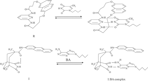 Hydrogen-bonding and π–π stacking interactions in host–guest complexes.