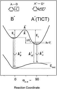 Kinetic model for the TICT state formation in DMAP: schematic cross section of the ground-state and lowest excited states potential hypersurfaces along the reaction coordinate represented by a twist angle ΘA–D and solvation; k parameters denote rate constants for forward (k⃑) and back () electron transfer and total (radiative and radiationless) deactivation of the primary excited (k0B) and TICT (k0A
					+
					k1Af) states where k1Af is an emission rate constant from an excited vibronic state of A*. Edest is the energy difference between the Franck–Condon ground state and the solvent equilibrated ground state. The other symbols are explained in the text.