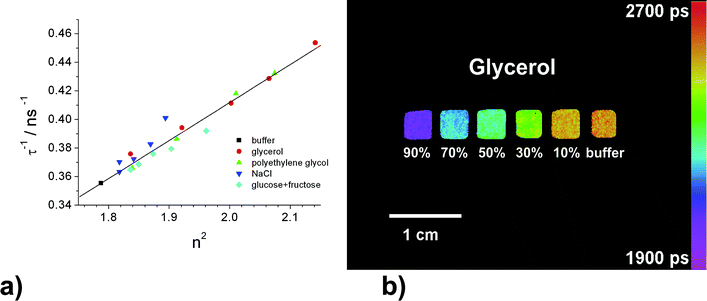 (a) The inverse average fluorescence lifetime τav−1 of GFP versus the square of the refractive index of the solution. τav−1 varies linearly with the square of the refractive index inaccordance with the Strickler–Berg formula [eqn. (6)], irrespective of whether the refractive index is increased by adding glycerol, polyethylene glycol, NaCl or glucose and fructose. (b) Fluorescence lifetime image of GFP in mixtures of aqueous buffer and glycerol in a multiwell plate.80,144
