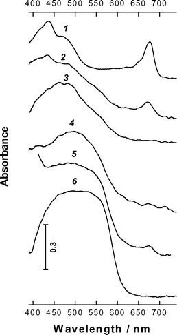 Typical absorption spectra of aloe plastids of green leaves (1) to red leaves (6).