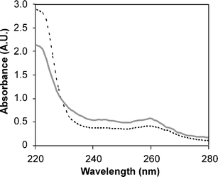 UV absorbance scans upon mixtures of SCK-A4 and SCK-T4 at 25 °C (dashed black line) and at 95 °C (solid grey line), demonstrating a loss of scattering at 220 nm and an increase absorbance at 260 nm upon heating.