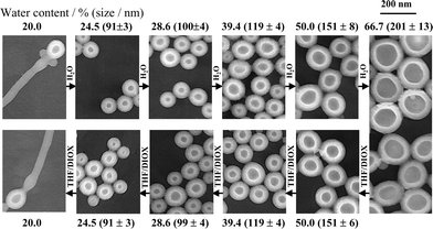 TEM images showing reversibility of vesicle formation and growth process upon changing water content for diblock PS300-b-PAA44 in a mixture of water + THF/dioxane.9