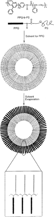 Schematic showing self-assembly of a PPQ-b-PS diblock into a hollow microsphere.17