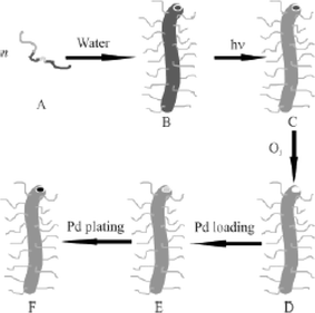 Schematic showing route to preparation of Pd nanotubes from a PI-b-PtBA-b-poly(CEMA-ran-HEMA)-b-PGMA tetrablock.37 The tetrablock (A) is dissolved in water to form cylindrical micelles (B). The PCEMA was photochemically cross-linked (C), prior to dissolving the polymer film in the THF to produce nanofibers. The PI was removed by ozonolysis (D) and the resulting nanotubes loaded with PdCl2
					(E). The salt was then reduced to produce Pd nanoclusters (F).