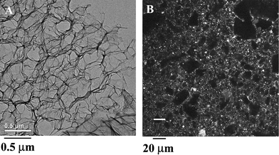 (A) Cryogenic transmission electron microscopy image of K170L30 at 3.0 wt% in H2O showing an interconnected nanostructure of polypeptide matrix (dark) surrounded/filled by vitreous water (light). (B) Laser scanning confocal micrograph of K160L40 at 1.0 wt% in H2O with a heterogeneous microstructure visualized using DiOC18 hydrophobic dye (Reprinted with permission from ref. 8. Copyright 2002 Nature Publishing Group).