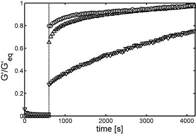 Recovery of gel strength G′ for (△) 1.0 wt% K160L40, (○) 0.75 wt% K160V40 and (∇) 2.0 wt% gelatin. Large amplitude oscillatory breakdown (1000% at 6 rad s−1 for 600 s) was followed by linear recovery measurements (0.3–1.0% at 6 rad s−1). G′ was normalized to the equilibrium value G′eq to facilitate sample comparisons (Reprinted with permission from ref. 8. Copyright 2002 Nature Publishing Group).