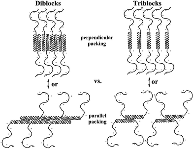 Drawings showing different possible packing motifs of helical segments in block copolypeptide hydrogels. Diblock (KnLm) and triblock (KnLmKn) architectures are shown for comparision in both perpendicular and parallel packing arrangements. Note that the parallel arrangement should greatly disrupt helix packing for the triblock copolymers.