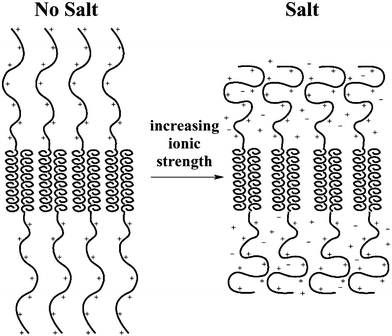 Drawing depicting changes in polyelectrolyte conformation as salt is added to block copolypeptide hydrogels. Electrostatic repulsions (left) are counterbalanced by steric repulsions (right) as polyelectrolyte chains coil in ionic media.