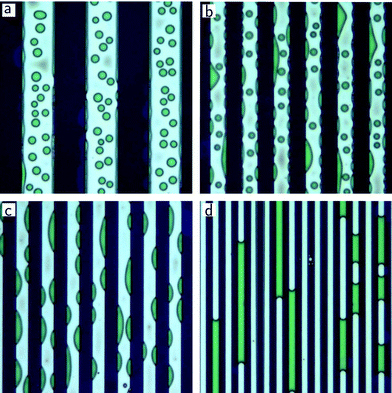 Temperature-gradient driven capillary instability in confined geometries. Topographic line-grid templates that were brought in contact with a liquid polymer film give rise to a quasi-one-dimensional confinement of width w of the free polymer surface. (a)
					w
					= 12 µm: similar columnar pattern as in the unconfined case (Fig. 3c). (b)
					w
					= 6 µm: coexistence of free columns with circular cross-sections and wall-adsorbed columns with drop-shaped cross-sections. (c)
					w
					= 4.5 µm: drop-shaped columns only. (d)
					w
					= 2 µm: plugs spanning the confining walls. The size of optical microscopy images are 70 × 70 µm2. The height of the polymer columns and plugs is determined by the distance of the line grooves to the substrate (580–630 nm).