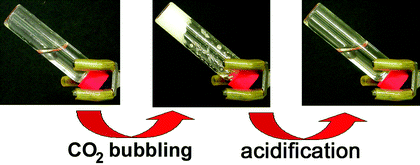 From left to right: a polyallylamine–1-pentanol solution, gel formation after CO2 addition, the gel after weak acidification (reprinted by permission of the American Chemical Society from ref. 35).