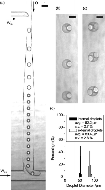 (a) Photomicrograph of droplet formation at two consecutive T-junctions. The breakup rate at each junction is ∼22 drops s−1. (b, c) The generated W/O/W droplets observed in the microfluidic device. (d) Size distribution of internal aqueous droplets and external organic droplets. The scale bars are (a) 100 µm, (b, c) 50 µm. Win: deionized water, O: corn oil containing lipophilic surfactant, Wex: aqueous solution of hydrophilic surfactant.