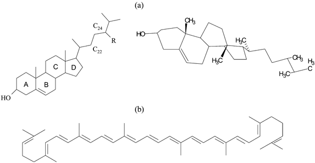 Molecular structures and 3D arrangement of: (a) free phytosterols (R = H–cholesterol; R = CH2CH3–β–sitosterol; R = CH2CH3 and additional double bond at C22–stigmasterol; R = CH3–campasterol; R = CH3 and additional double bond at C22–brassicasterol), and (b) lycopene.