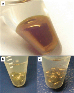 Photographs of self-assemblies of 12 nm Au@DTBE NPs (a), 40 nm Ag@DTBE NPs (b) and their mixture with a molar ratio of 1∶1 (c) at the water/toluene interface in plastic eppendorf tubes. These tubes are tilted such that the colored area corresponds to the water/toluene interface.
