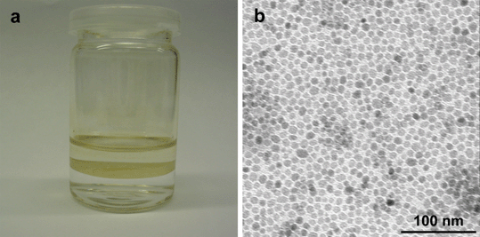 Photograph (a) and TEM image (b) of a 8 nm Fe3O4@BMPA NP monolayer, formed at the water/toluene interface.