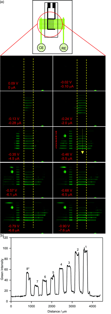 Lab on a Chip 