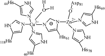 Superoxide Dismutase Activity Of A Cu Zn Complex Bare And Immobilised New Journal Of Chemistry Rsc Publishing