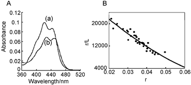 (A) UV-vis absorption spectra of 2 µM APEG in the absence (a) and presence (b) of 60 µM sonicated calf thymus DNA in 10 mM sodium 2-(N-morpholino)ethanesulfonate buffer (pH 6.5) containing 1 mM EDTA and 0.1 M NaCl. (B) Scatchard plots of the interaction of APEG with calf thymus DNA obtained from the data of the absorption change in A.