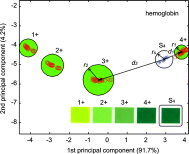 First two principal components of the classification corresponding to the parameter hemoglobin. The circles correspond to 3 times the maximum standard deviation of the ROIs coordinates in the PCs space. ○ correspond to the ROIs on the evaluation chart and × to the projections of the strip ROI of hemoglobin on the PCs space. d1 is the closest distance between the centroid of the strip projection and a label cluster and d2 the distance to the second closest label.