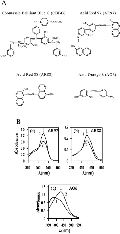 (A) Molecular structures of the tested dyes. (B) Spectra for Acid Red 97 (AR97, 25 µM), Acid Red 88 (AR88, 50 µM) and Acid Orange 6 (AO6, 65 µM) in (1) the absence and (2) the presence of DDABr at a concentration of: (a) 30 µM, (b) 20 µM and (c) 120 µM. pH = 5.9 adjusted with 1 M NaOH. Wavelengths selected to record titration curves for each dye are marked on their corresponding spectra with the symbol: ↓.