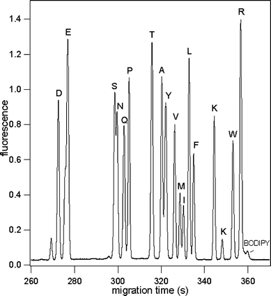 Electropherogram of 17 labeled BODIPY FL CASE AA's; device: serpentine channel PDMS chip with 30 cm separation channel; separation distance = 27 cm and applied electric field = 750 V cm−1; buffer: 10 mM sodium tetraborate, 50 mM SDS, 20% acetonitrile; sample: 1 µM BODIPY FL CASE AA's. AA's are represented by their one letter abbreviation. The nominal charges on each AA–BODIPY conjugate are as follows: D(−3), E(−3), S(−2), N(−2), Q(−2), P(−2), T(−2), A(−2), Y(−2), V(−2), M(−2), L(−2), F(−2), K(−1), W(−2), R(−1). The overall analyte migration was toward the cathode in the separation waste reservoir.