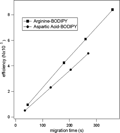 Efficiency of aspartic acid and arginine labeled with BODIPY FL CASE as a function of migration time. Electropherograms were collected using buffer of 10 mM sodium tetraborate, 50 mM SDS, and 20% acetonitrile, electric field strength = 750 V cm−1. The BODIPY–Arg and BODIPY–Asp conjugates have nominal charges of −1 and −3, respectively. The overall analyte migration was toward the cathode in the separation waste reservoir.
