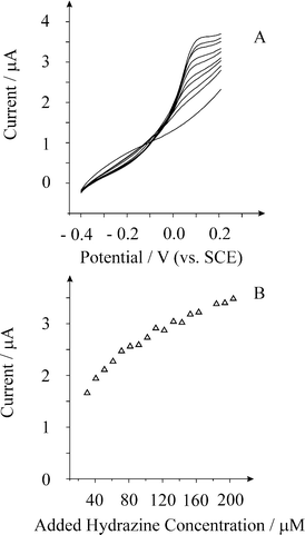 Linear sweep voltammograms from increasing additions of hydrazine recorded at a palladium macroelectrode in a pH 7 buffer solution at a scan rate of 100 mV s−1. Additions from bottom to top are: 0, 30.6, 40.8, 61.2, 91.8, 122, 143, 153, 173, and 204 µM.