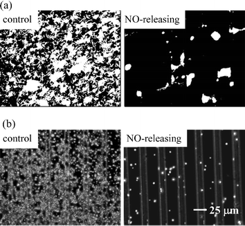 (a) Fluorescent optical images (200 × 165 µm) of P. aeruginosa adhesion and (b) phase contrast images of platelet adhesion to control and NO-releasing xerogel microarrays (5 or 10 µm wide separated by 20 or 25 µm). Bacteria and platelets are shown in white. Reproduced from ref. 37 and 38 with permission.