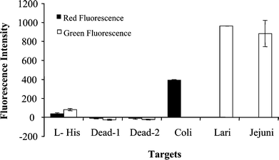 Detection of viable cells of C. coli, C. lari and C. Jejuni and dead cells of C. coli. Preparation of dead cells: 4.5 × 108 cells of C. coli in 0.5 mL in water were boiled for 15 min and kept at room temperature for 2 days before RNA extraction. All the other procedures involved in the analysis are the same as those described in the Experimental. l-His: l-histidine; Dead-1: the target of dead cell prepared using the PCR 1; Dead-2: the targets of dead cells prepared using the PCR 2; The targets of C. coli, C. lari and C. Jejuni were prepared from live cells as positive controls. Target concentrations for C. coli, C. lari, and C. jejuni were 50 nM. Triplicate spots were used for each sample.