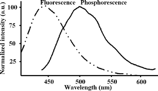 Fluorescence and room temperature phosphorescence emission spectra of aflatoxin B1 immobilized over silica gel beads.