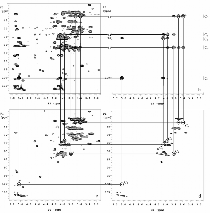 Analysis of the t-β-araf spin system in the cell wall of M. smegmatis using 3D 1H–13C HCCH–COSY and 2D 1H–13C HSQC HRMAS NMR. (a) Projection of the 3D data in the 13C(F2)–1H(F3) plane allowing visualization of all spin systems acquired in the whole-cell M. smegmatis spectrum. The anomeric cross-peak for the t-β-araf was defined in the 3D projection (circled) and subsequently identified along with the cosy δH shift pattern in the individual 3D planes. (b) Partial sections of the five separate 13C(F2)–1H(F3) planes, which shows the correlation among C1–C5 of t-β-araf. The carbon and proton shifts were compared to (c) the 2D 1H–13C HSQC of M. smegmatis whole cells and (d) the 2D 1H–13C HSQC spectrum of base solubilized AG standard. Reproduced with permission from ref. 26