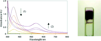 UV-Visible spectra on irradiation of HAuCl4 and TOAB within a gel-phase material. The spectra illustrate (1) the loss of colour as Au(iii) is reduced to Au(i) and (2) the increase in the surface plasmon band as Au(0) nanoparticles are formed. The photo illustrates the purple band formed on irradiation.