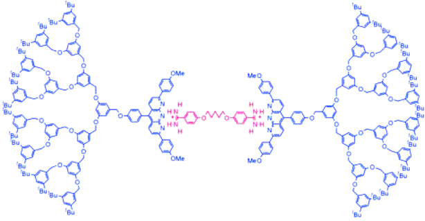 Self-assembled dendrimer reported by Zimmerman and co-workers based on the interaction between anthyridine units and amidinium cations.